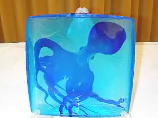 �݂�я܁E�u���[�I�N�g�p�X